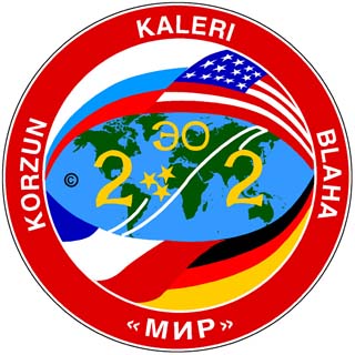 Mir-22 patch